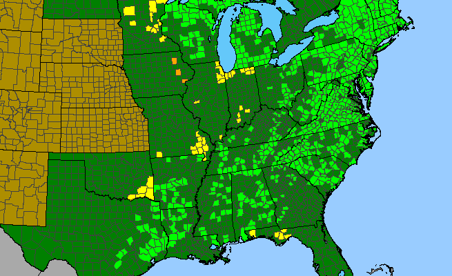The range of Platanthera clavellata